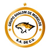 Logo Seguridad Shalom